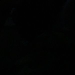 Meet your Posher, Rodney